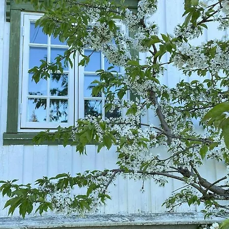 With Wildlife Close To Steinkjaer * Стейнхьер